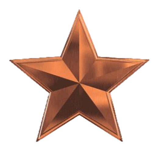 Bronze VIP product banner